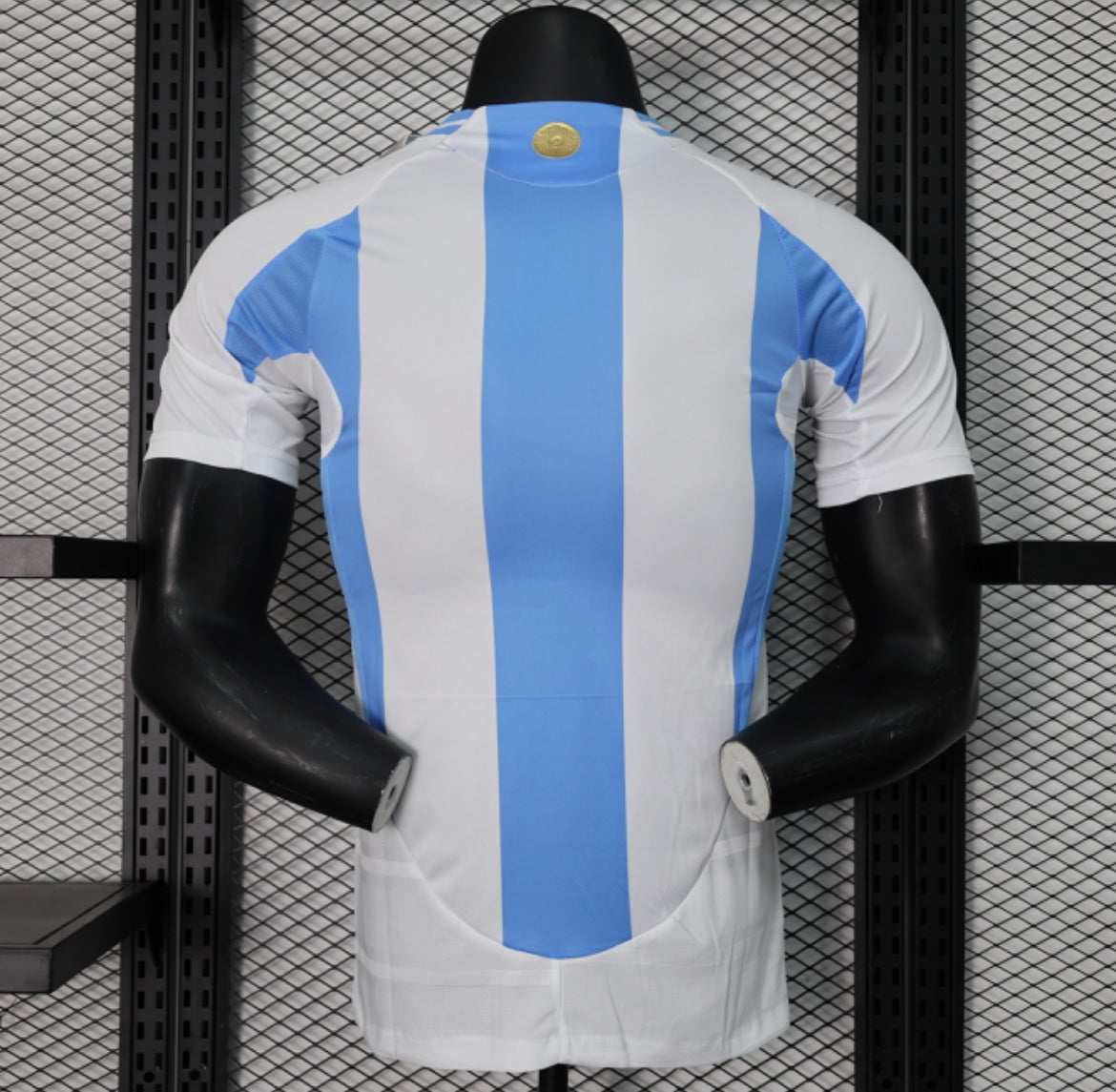 Argentina 24/25 Home